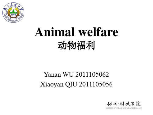 animal welfare