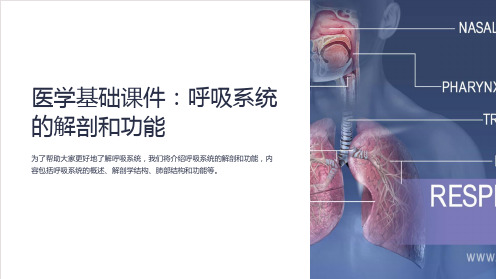 《医学基础课件：呼吸系统的解剖和功能》