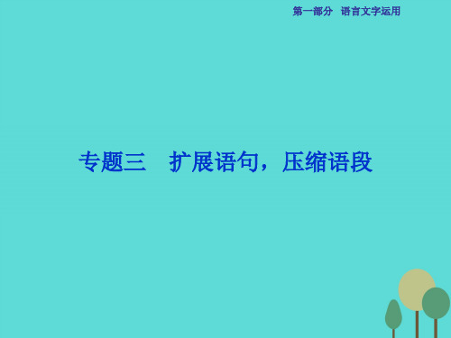 高考语总复习-第1部分 语言字运用 专题3 扩展语句,压缩语段课件 新人教版