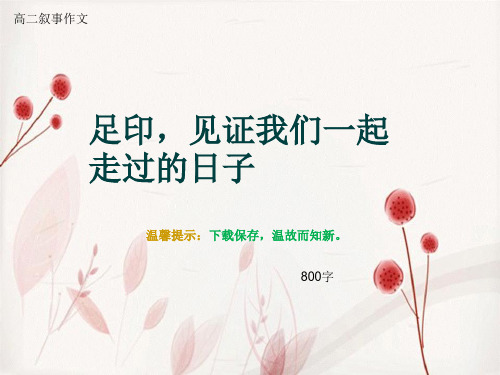 高二叙事作文《足印,见证我们一起走过的日子》800字