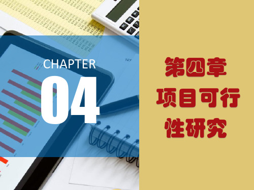 第四章项目可行性研究《项目融资》