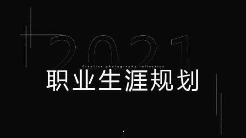 职业生涯规划未来发展计划黑色简约PPT模板