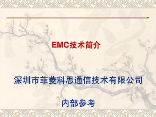 EMC技术简介