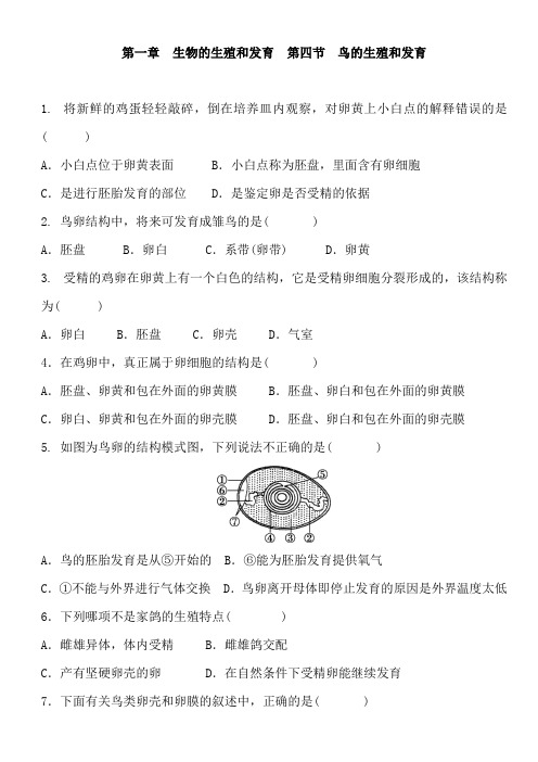 人教版生物八年级下册 第七单元 第一章 生物的生殖和发育  第四节 鸟的生殖和发育 同步练习及答案