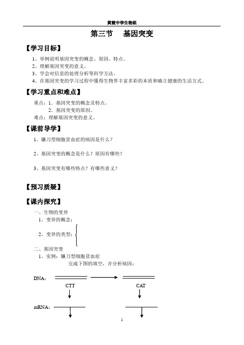 基因突变导学案