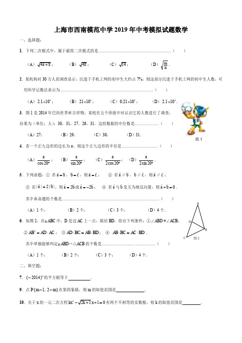 2018-2019年上海市西南模范中学九下中考模拟