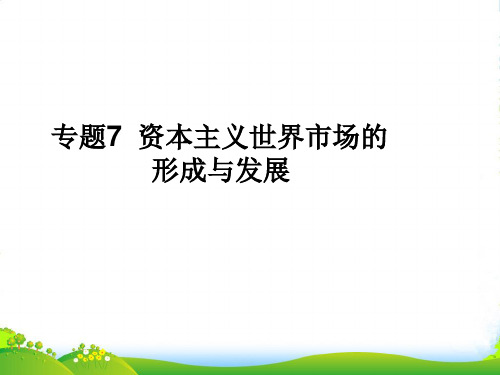 高考历史二轮复习资料 专题07 资本主义世界市场的形成与发展同步课件