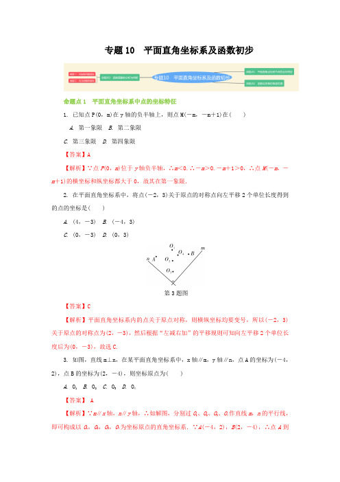 专题10 平面直角坐标系及函数初步(解析版)