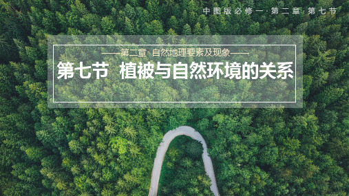 2.7 植被与自然环境的关系  课件 高一地理中图版(2019)必修第一册