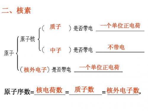 第一章 第三节 化学键