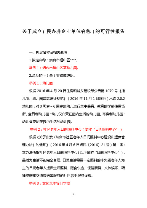 民办非可行性报告示范举例