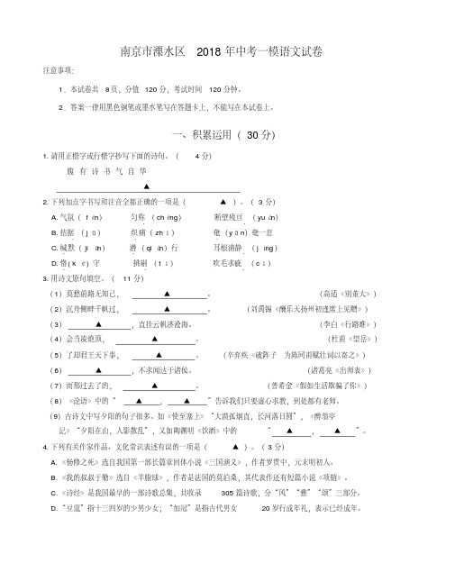 南京市溧水区2018年中考一模语文试卷(含答案).pdf