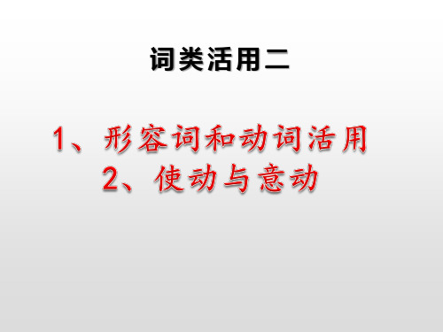 2019词类活用二(动词、形容词)