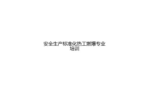 安全生产标准化热工燃爆专业培训_