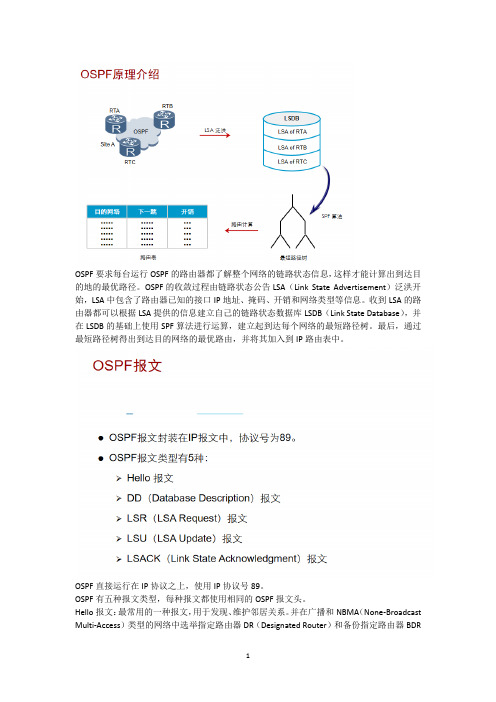 华为OSPF理论和配置命令