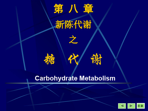 5-糖代谢-jsj-158页PPT文档资料