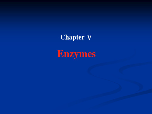 chapter 5 enzyme(2010)-酶