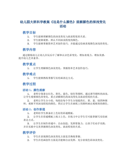 幼儿园大班科学教案《这是什么颜色》观察颜色的深浅变化活动