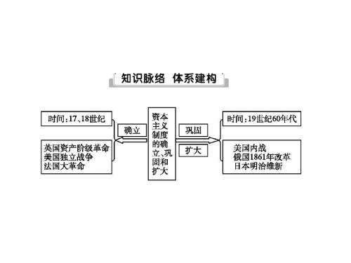 中考历史复习专题训练突破课件：专题三 世界近代资本