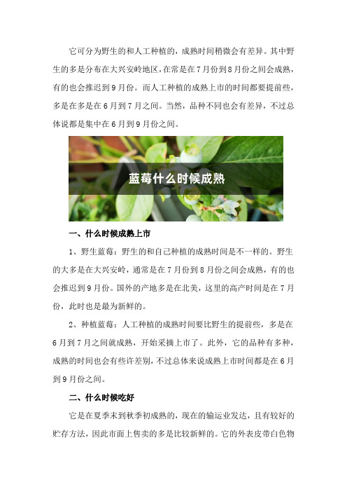 蓝莓什么时候成熟,什么时候上市