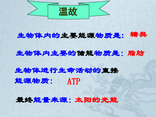 高中生物《第五章 第四节 能量之源 光与光合作用》课件4 新人教版必修1