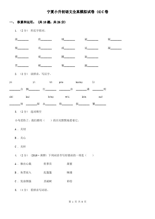 宁夏小升初语文全真模拟试卷 (4)C卷