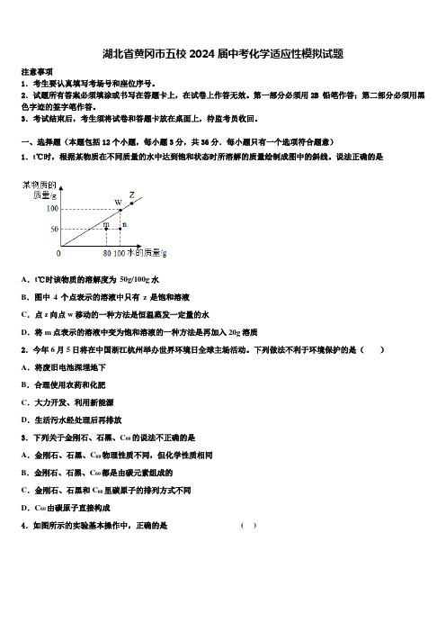 湖北省黄冈市五校2024届中考化学适应性模拟试题含解析