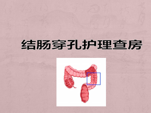 结肠穿孔护理查房 (1)