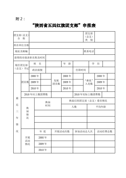 陕西省五四红旗团支部申请表