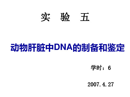 实验九 动物肝脏DNA提取和鉴定