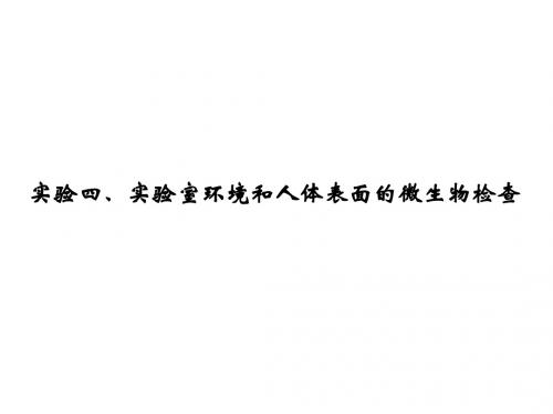 实验四、实验室环境和人体表面微生物检查