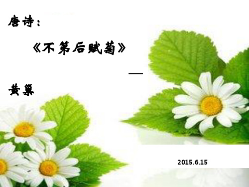 不第后赋菊(已改)