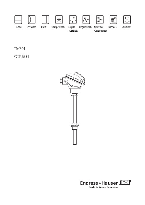 E+H温度变送器TM501技术资料