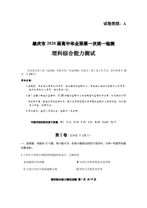 广东省肇庆市2020届高三第一次检测考试理科综合试题及答案