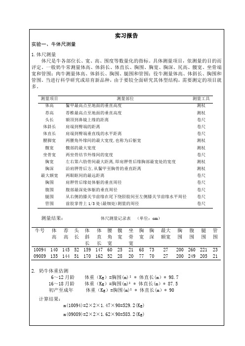 养牛学实习报告