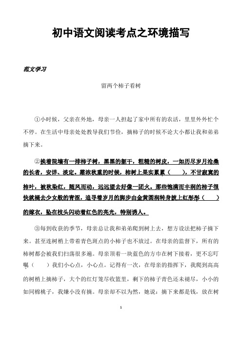 (名师整理)最新部编人教版语文中考《现代文阅读理解之环境描写》专题精练(含答案)