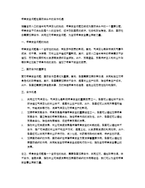 粮食安全问题在国际关系中的合作机遇