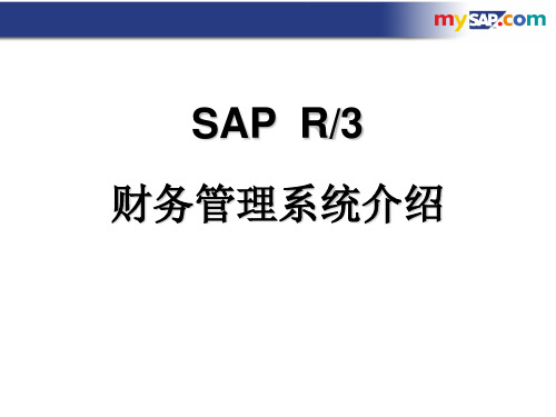 +SAP财务管理系统介绍(ppt+92)