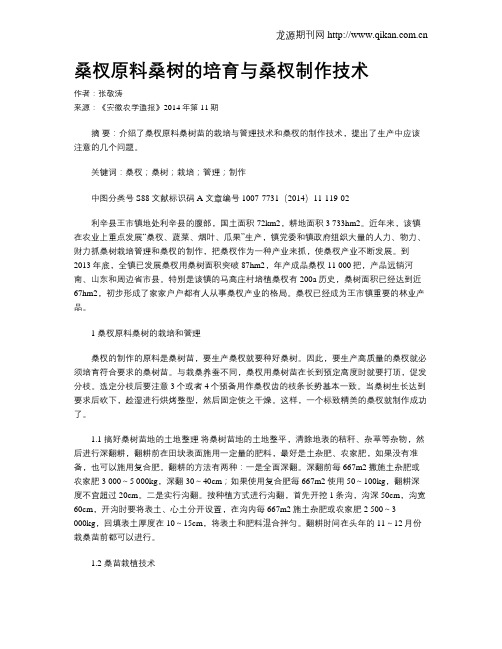 桑杈原料桑树的培育与桑杈制作技术