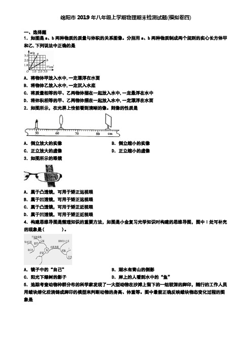 绵阳市2019年八年级上学期物理期末检测试题(模拟卷四)