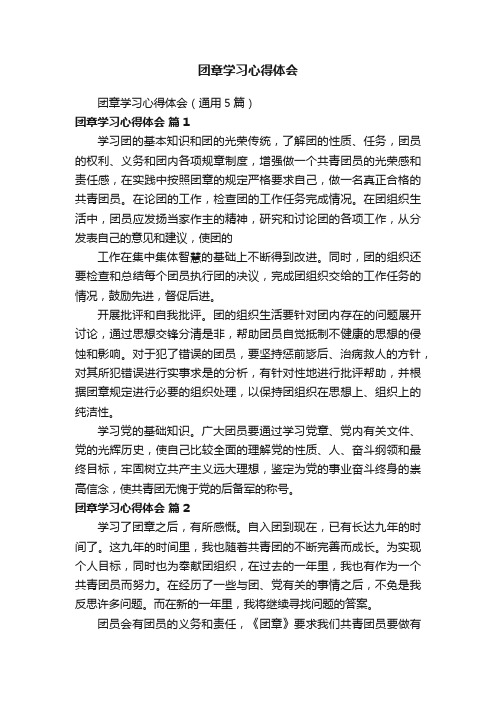 团章学习心得体会（通用5篇）