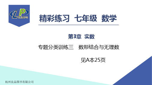 专题分类训练3 数形结合与无理数