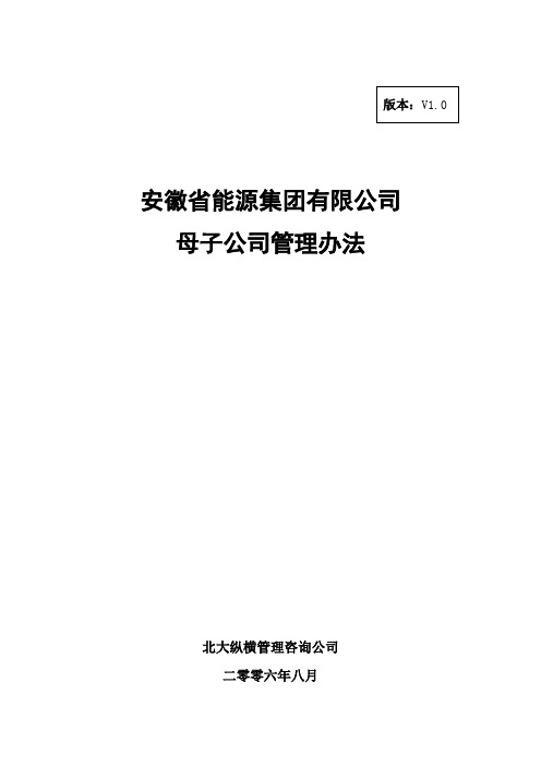 分报告5-安徽省能源集团有限公司母子公司管理办法V1.0.doc