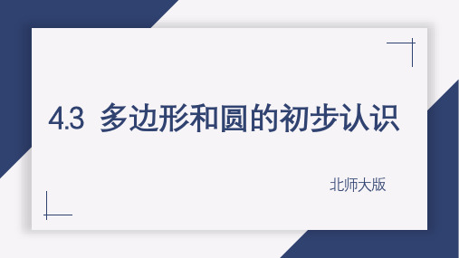 4.3多边形和圆的初步认识+课件+2024—2025学年北师大版七年级数学上册