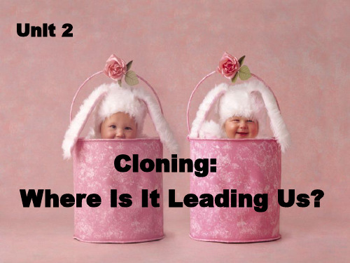 人教版高二英语选修八Unit 2 Cloning reading (共22张PPT)