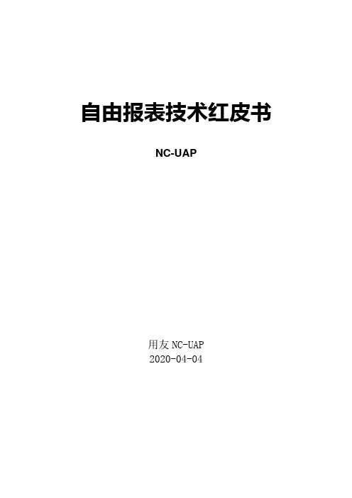 NCV6-自由报表红皮书