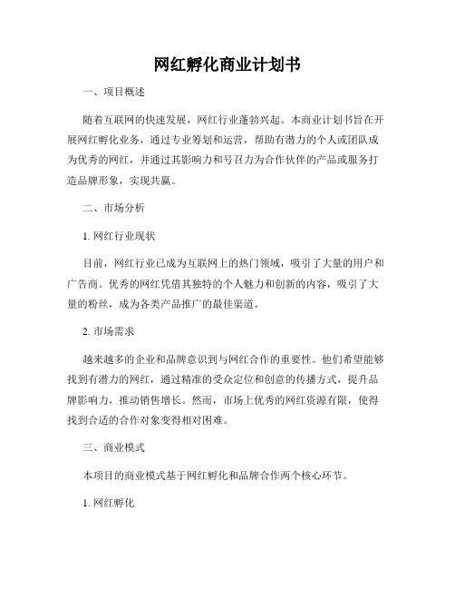 网红孵化商业计划书