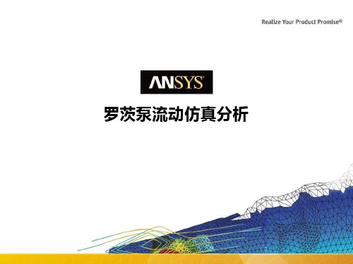 ANSYS教学算例集FL 罗茨泵流动仿真分析课件