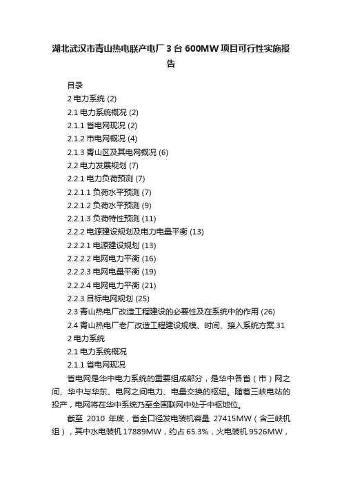 湖北武汉市青山热电联产电厂3台600MW项目可行性实施报告