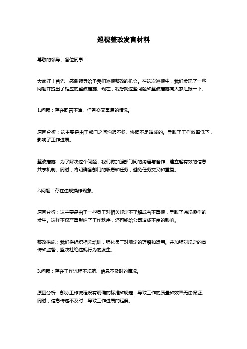 巡视整改发言材料